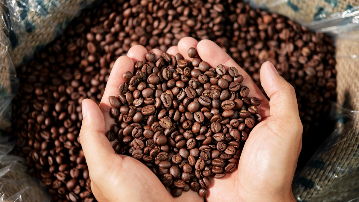 Café y Salud: El equilibrio entre un "Súper Alimento" y el exceso